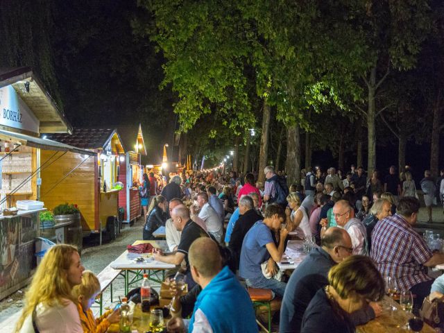 Balatonfüred ein wunderschöner großer Ferienort mit allen Facetten und zunehmender Beliebtheit.: Ferienhäuser in Ungarn in Balatonfüred